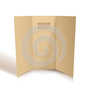 Blank tri-fold brochure design .