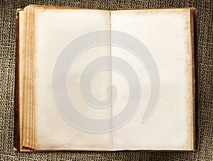 Blank vintage book