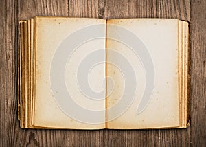 Blank vintage book.