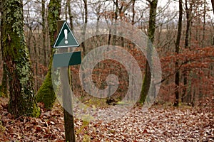 A blank warning sign along a forest trail