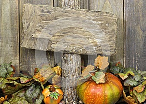 Blank weathered wood sign with autumn border of leaves and pumpkins