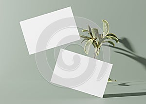 Blank white business cards with small sprig on pastel green background. Natural mockup for branding identity. Two cards