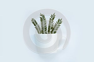 Blank white ceramic mug with dried Jacaranda mimosifolia leaves