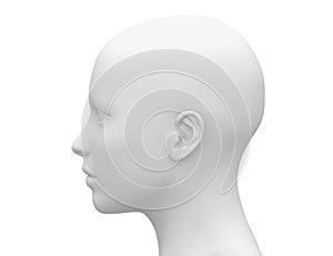 Blank White Female Head - Side view