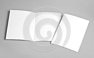 Blank white folding paper flyer