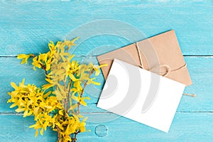 Blank white greeting card with spring yellow flowers of forsythia on blue wooden background. top view with copy space