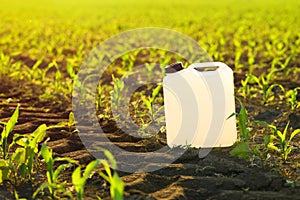 Blank white herbicide canister can in corn seedling field in springtime sunset