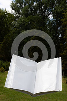 Blank white open book on a uniform backgroundblank white open book