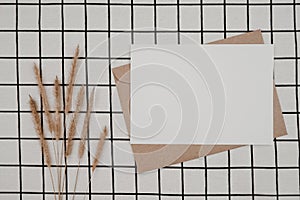 Blank white paper on brown paper envelope with Bristly foxtail dry flower and Carton box on White cloth with Black grid pattern.