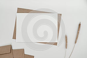 Blank white paper on brown paper envelope with Bristly foxtail dry flower. Mock-up of horizontal blank greeting card. Top view of