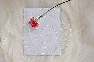 Blank white paper with flowers laid on a white tulle fabric.