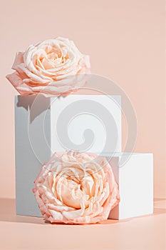 Blank white podium platforms or pedestals with pink background for product display. Empty stands for showing or