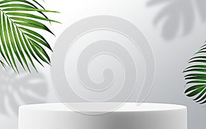 Blank white podium for product with tropical leaves 3D render