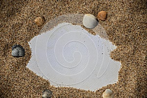 Blank white sheet of paper on white sand with seashells and stones. Message by the sea, romance, valentine's