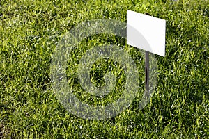 blank white sign mockup on green lawn background - close-up with selective focus
