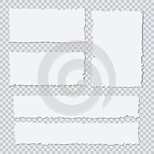 Blank white torn paper pieces on transparent background