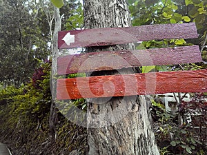 Blank wooden board/ sign board in the nature