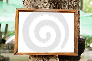 Blank wooden frame hanging on the tree