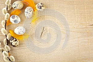 Blank wooden plank with easter decoration,quail eggs and catkins