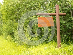 Blank wooden sign board dense green forest edge
