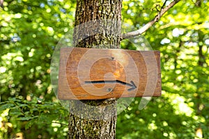A blank wooden sign with an etched right arrow nailed to a tree in the forest with green colors in the background.