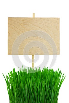 Blank wooden Sign with green Grass / isolated