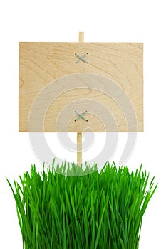 Blank wooden Sign with green Grass / isolated