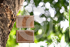 Blank wooden sign hanging on a big tree and green leaf bokeh background