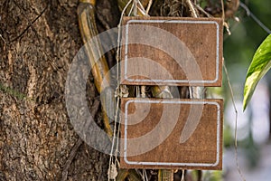 Blank wooden sign hanging on a tree in nature