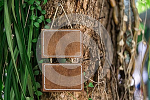 Blank wooden sign hanging on a tree in nature