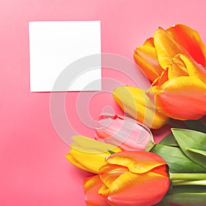 Blanked card , for your copy text, beside a Tulip flowers bouquet. Women lifestyle and holidays concept