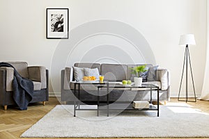 Blanket on armchair next to grey sofa in bright living room inte