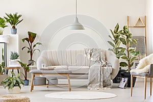 Blanket on beige settee under grey lamp in floral living room in photo