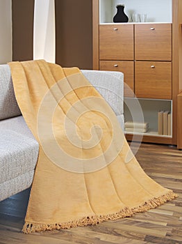 Blanket draped over a settee