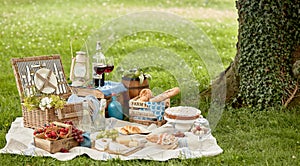 Blanket with picnic food set on grass under tree