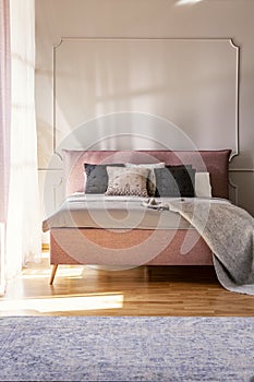 Blanket and pillows on pink bed in simple bedroom interior with carpet and wall with molding. Real photo