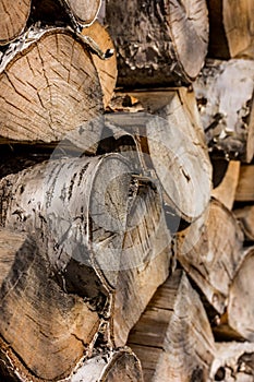 Blanks of birch firewood. Firewood is well dried and ready to kindle a fireplace.