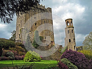 Blarney Beauty photo