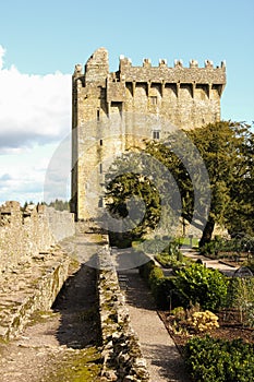 Blarney castle. co. Cork . Ireland