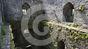 Blarney Castle courtyard, Ireland