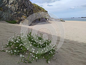 Blasket Island Ireland