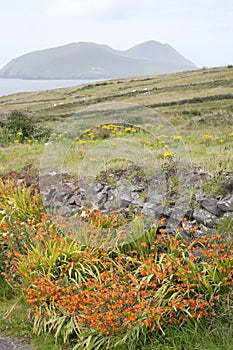 Blasket Islands, Dingle Peninsula