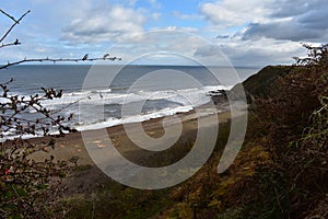 Blast Beach from Hawthorn Dene