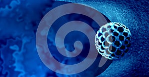 Blastocyst Fertility Concept