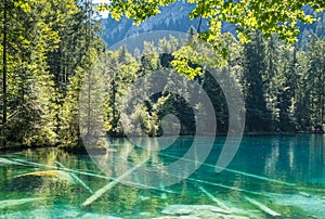 Blausee Blue lake, Bernese Oberland, Switzerland