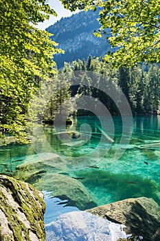 Blausee Blue lake, Bernese Oberland, Switzerland