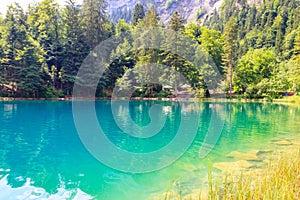 Blausee lake or Blue Lake in Bernese Oberland, Kandergrund, Switzerland