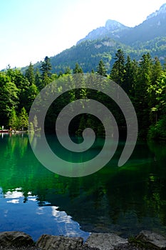 Blausee Lake in Green Colour