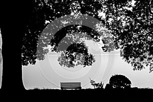 Blavk and white view of green environment with tree, seat bench and park at Xihu lake or the west lake in the morning, where is a