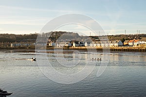 Blaydon on Tyne UK: Jan 2022: Rowers on the River Tyne on a early sunday morning. Rowing water sport exercise